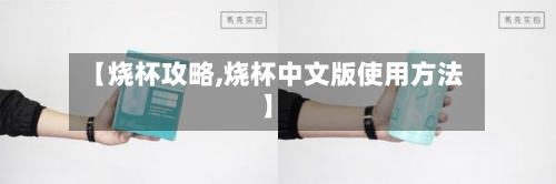 【烧杯攻略,烧杯中文版使用方法】