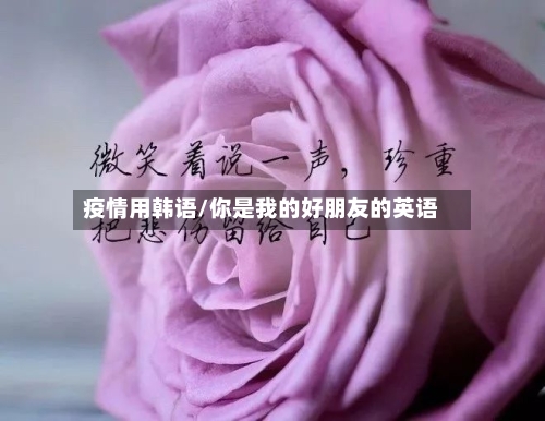 疫情用韩语/你是我的好朋友的英语