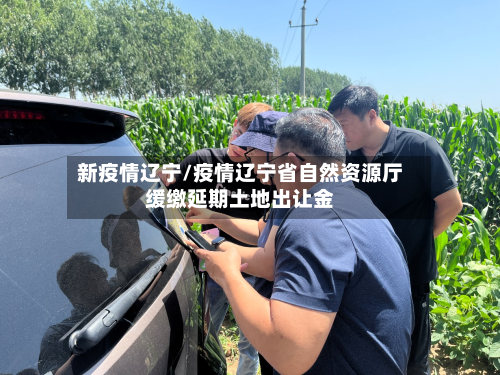 新疫情辽宁/疫情辽宁省自然资源厅缓缴延期土地出让金-第2张图片