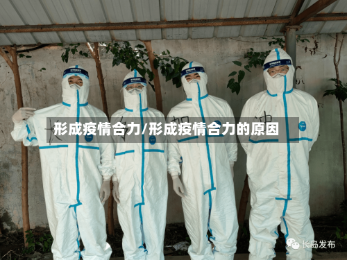 形成疫情合力/形成疫情合力的原因