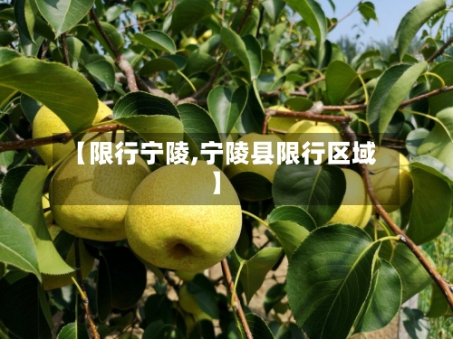 【限行宁陵,宁陵县限行区域】