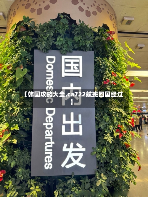 【韩国攻略大全,ca722航班回国经过】-第3张图片