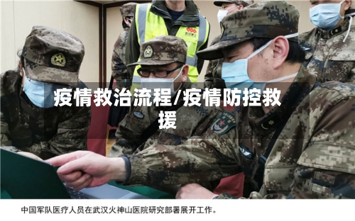 疫情救治流程/疫情防控救援-第2张图片