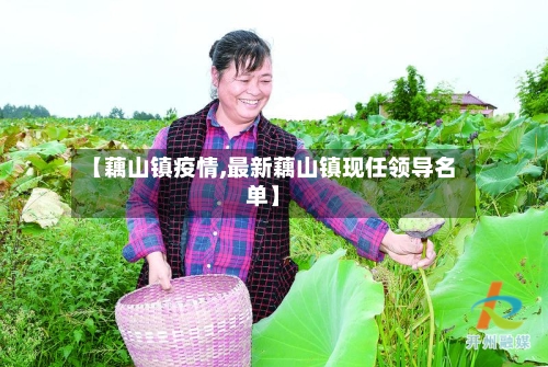 【藕山镇疫情,最新藕山镇现任领导名单】