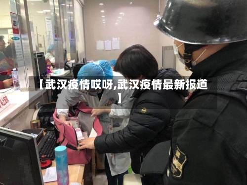 【武汉疫情哎呀,武汉疫情最新报道】-第2张图片