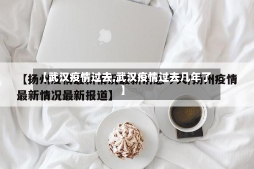 【武汉疫情过去,武汉疫情过去几年了】-第2张图片