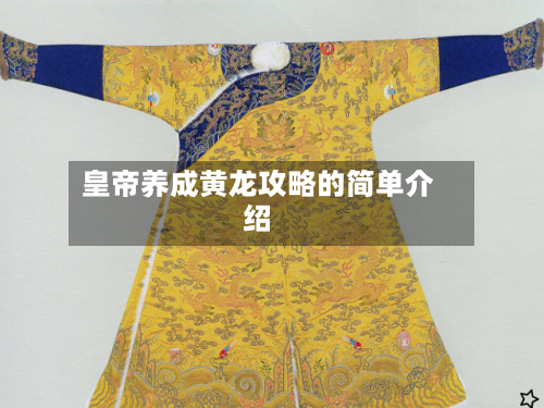 皇帝养成黄龙攻略的简单介绍-第3张图片