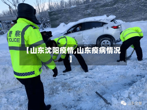 【山东沈阳疫情,山东疫病情况】