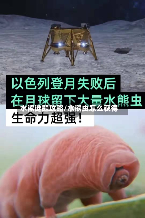 水熊谜题攻略/水熊虫怎么获得