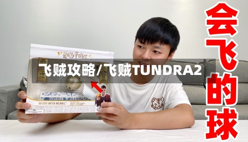 飞贼攻略/飞贼TUNDRA2-第2张图片