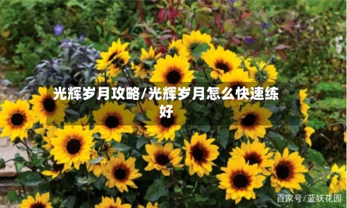 光辉岁月攻略/光辉岁月怎么快速练好-第2张图片