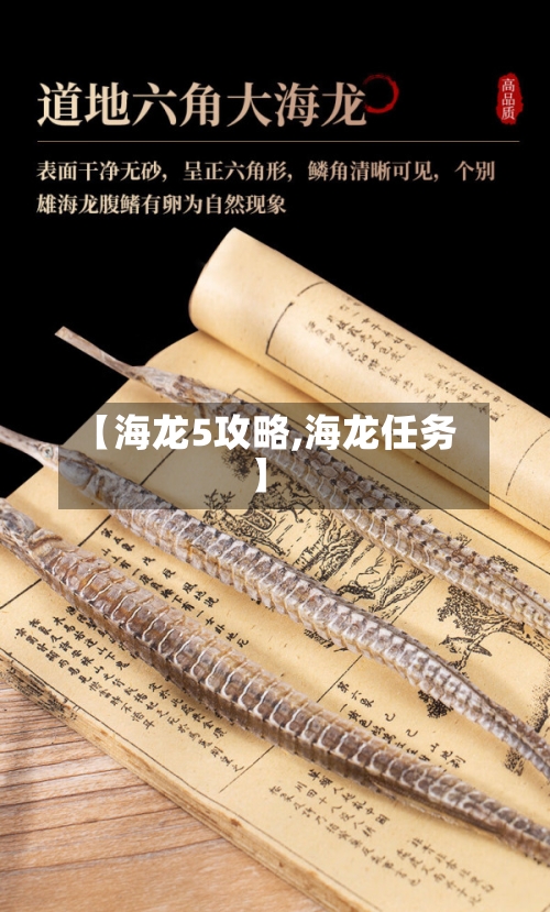 【海龙5攻略,海龙任务】