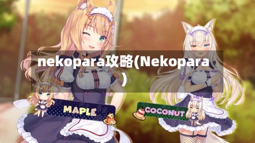 nekopara攻略(Nekopara)-第3张图片