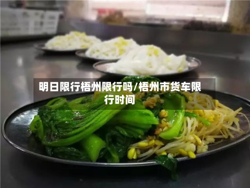 明日限行梧州限行吗/梧州市货车限行时间