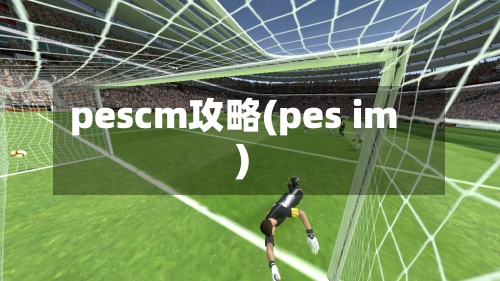 pescm攻略(pes im)-第2张图片