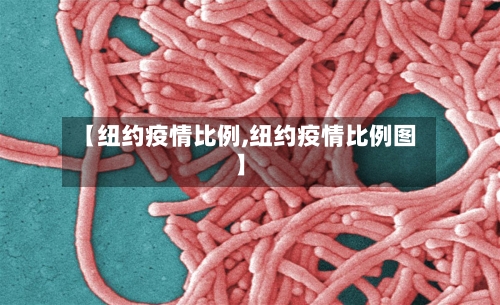 【纽约疫情比例,纽约疫情比例图】