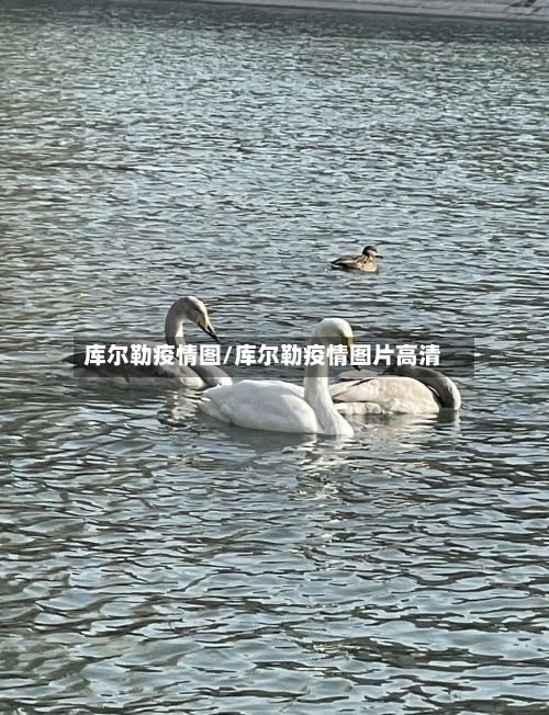 库尔勒疫情图/库尔勒疫情图片高清-第3张图片