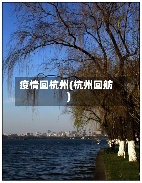 疫情回杭州(杭州回舫)-第2张图片