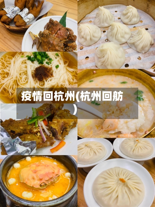 疫情回杭州(杭州回舫)