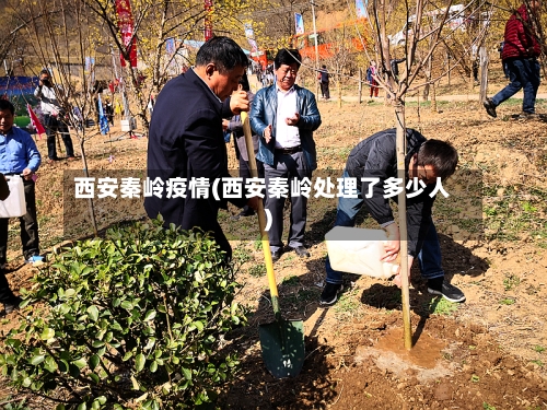 西安秦岭疫情(西安秦岭处理了多少人)