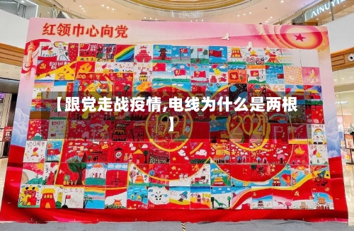 【跟党走战疫情,电线为什么是两根】-第2张图片