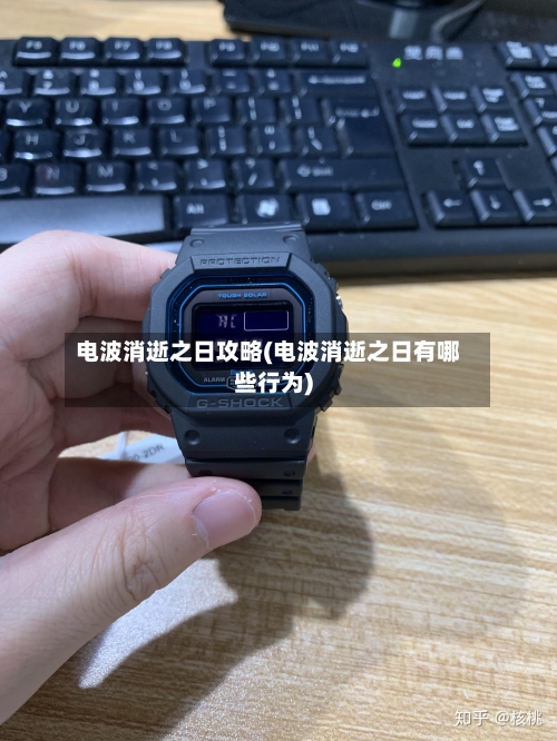 电波消逝之日攻略(电波消逝之日有哪些行为)