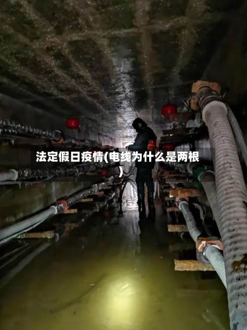 法定假日疫情(电线为什么是两根)-第2张图片