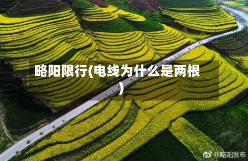 略阳限行(电线为什么是两根)-第2张图片