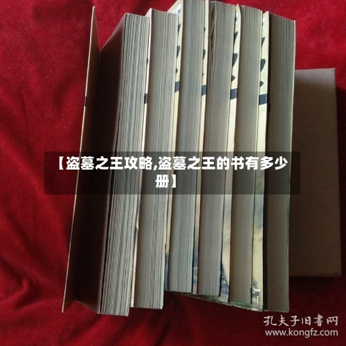 【盗墓之王攻略,盗墓之王的书有多少册】
