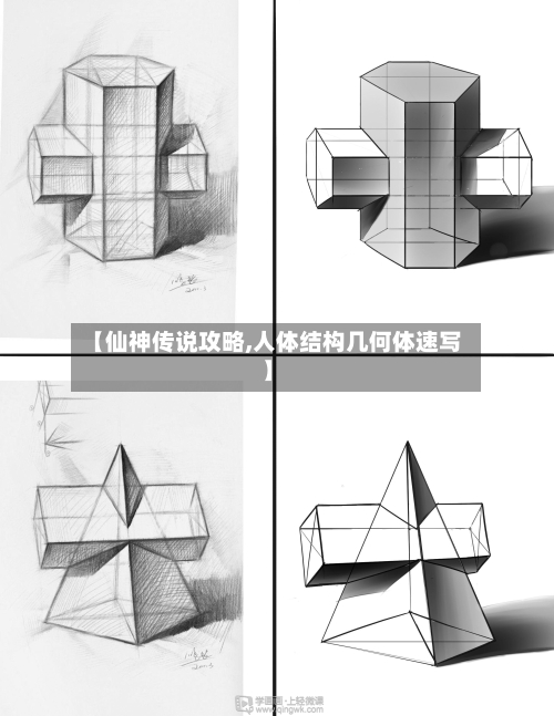 【仙神传说攻略,人体结构几何体速写】