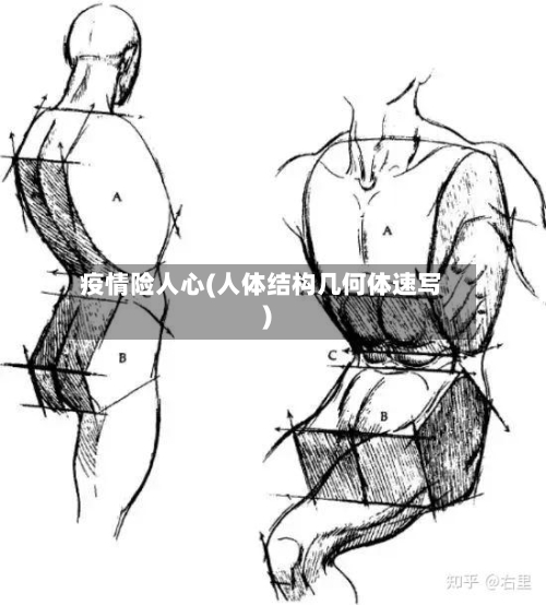 疫情险人心(人体结构几何体速写)-第3张图片