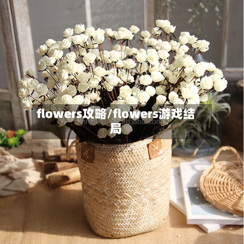 flowers攻略/flowers游戏结局