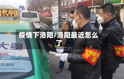 疫情下洛阳/洛阳最近怎么了-第2张图片