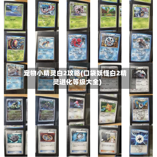 宠物小精灵白2攻略(口袋妖怪白2精灵进化等级大全)-第2张图片