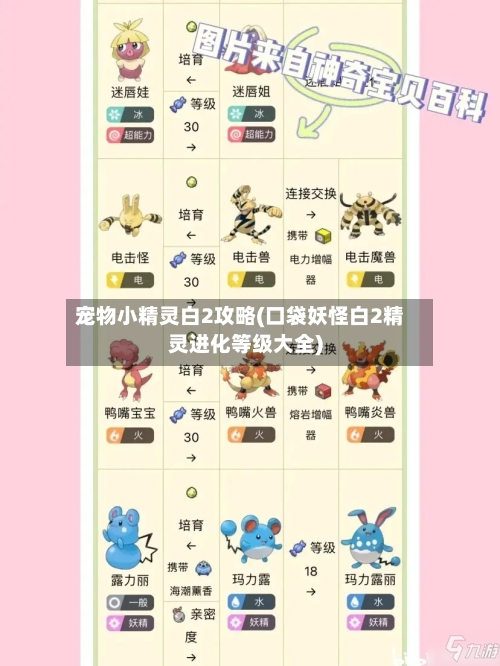 宠物小精灵白2攻略(口袋妖怪白2精灵进化等级大全)