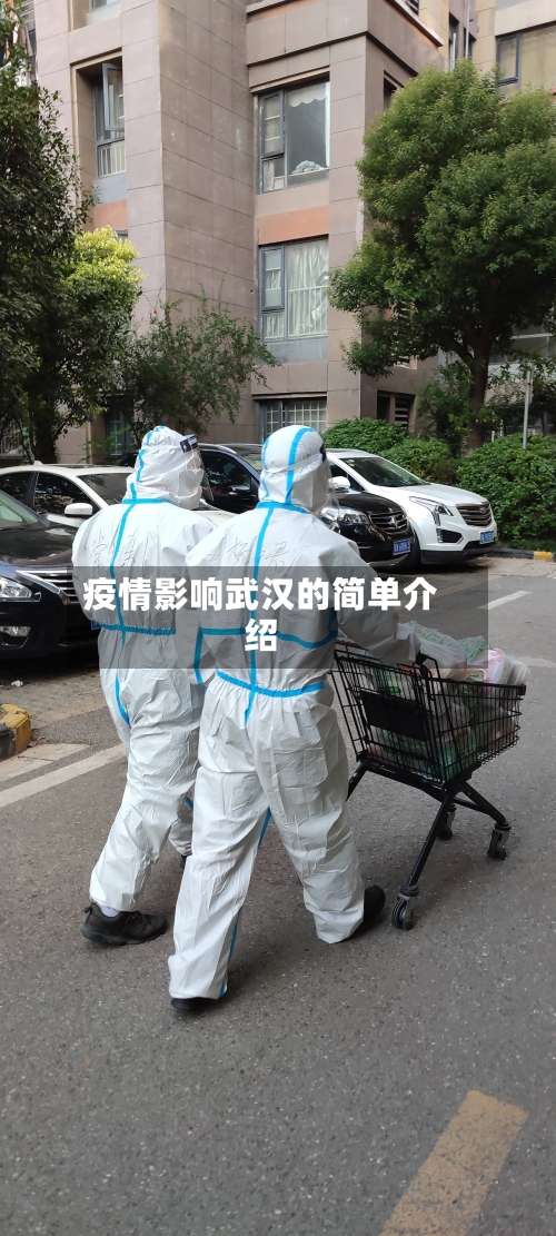 疫情影响武汉的简单介绍-第2张图片
