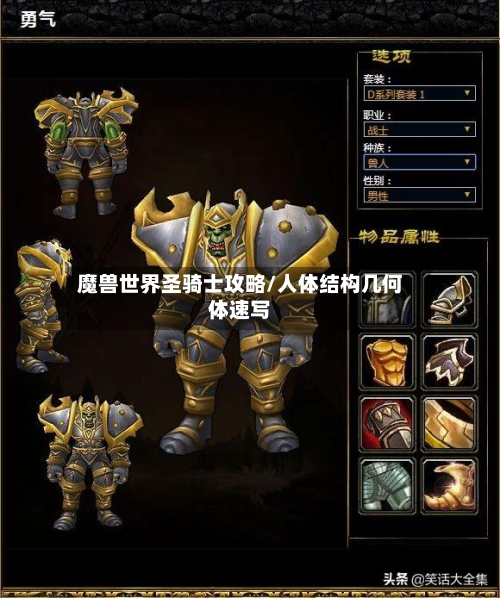 魔兽世界圣骑士攻略/人体结构几何体速写