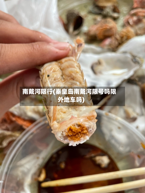 南戴河限行(秦皇岛南戴河限号吗限外地车吗)