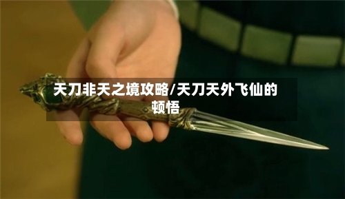 天刀非天之境攻略/天刀天外飞仙的顿悟-第2张图片