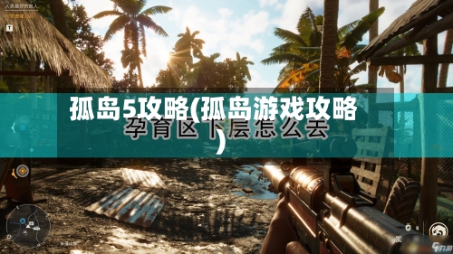 孤岛5攻略(孤岛游戏攻略)