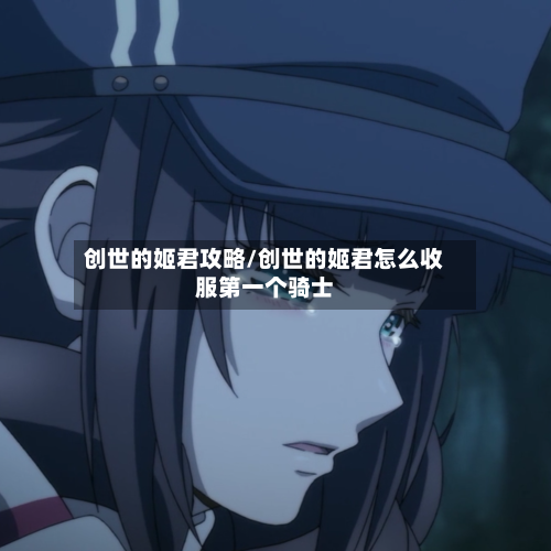 创世的姬君攻略/创世的姬君怎么收服第一个骑士-第3张图片