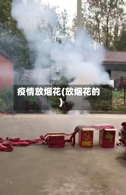 疫情放烟花(放烟花的)