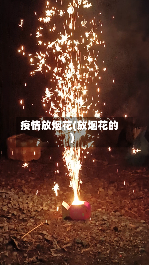 疫情放烟花(放烟花的)-第2张图片