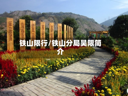 铁山限行/铁山分局吴限简介-第2张图片