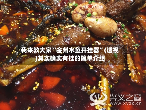 我来教大家“金州水鱼开挂器”(透视)其实确实有挂的简单介绍