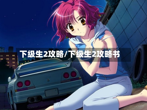 下级生2攻略/下级生2攻略书