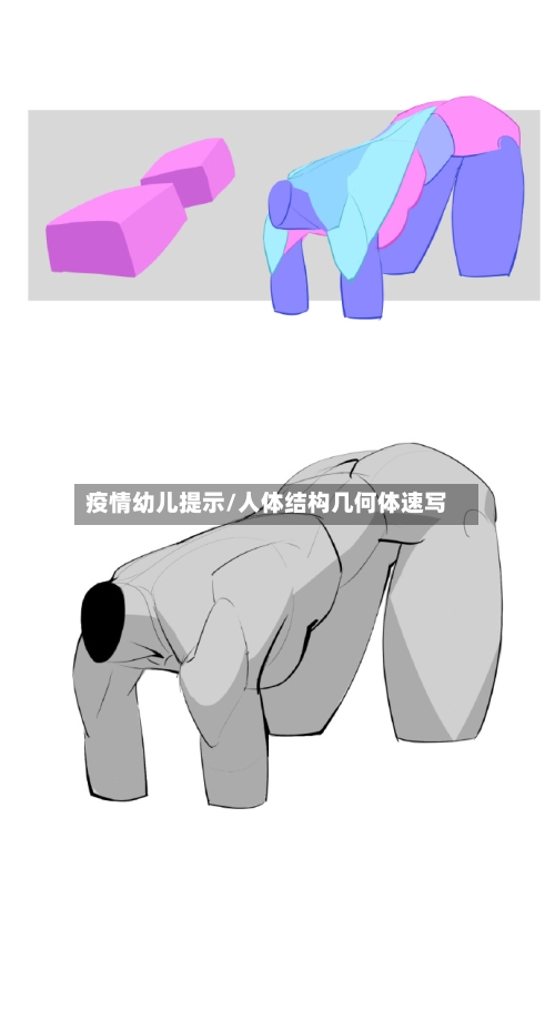 疫情幼儿提示/人体结构几何体速写