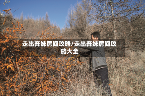 走出奔妹房间攻略/走出奔妹房间攻略大全