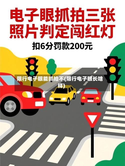 限行电子眼能抓拍不(限行电子眼长啥样)