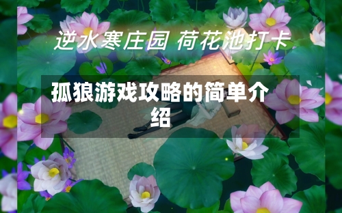 孤狼游戏攻略的简单介绍-第3张图片